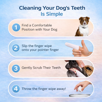 Clawverse Pet Dental Wipes